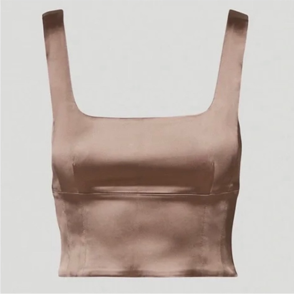 Aritzia Wilfred Shine Bustier